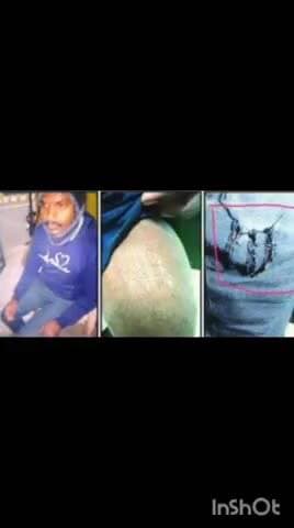 कळमेश्वर: कळमेश्वर पोलीस स्टेशन हद्दीमध्ये डिफेन्स फॅक्टरी इस्टेट मध्ये बिबट्याची दुचाकी स्वारावर झडप