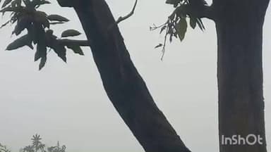 चांदवा: चंदवा में आज सुबह से धूप नहीं, शीतलहरी और कड़ाके की ठंड से जनजीवन प्रभावित