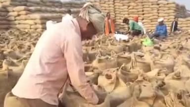 करकेली: धान खरीदी केंद्रों पर परिवहन व्यवस्था चरमराई, धान परिवहन रुका, ट्रांसपोर्टर को जुर्माने की चेतावनी