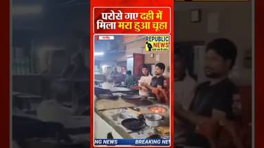 होटल पर दही की प्लेट में निकाला मरा हुआ चूहा।UP NEWS। #trending #currentaffairs #update #latestnews