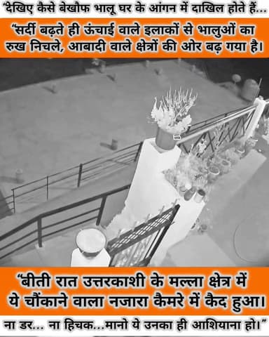 “देवभूमि में इंसान और वन्यजीवों के बीच
ये टकराव नहीं… संतुलन की लड़ाई है।”