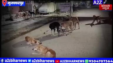#BigBreakingNews मुजफ्फरपुर में आवारा कुत्तों का आतंक,भैंस का चारा देने गई महिला पर हमला।
#A2zbiharnewsmuzaffarpur #ss...