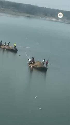 स्वास्थ्य मंत्री इरफान अंसारी के क्षेत्र में नदी के बीच नावों से खुलेआम बालू निकासी हो रही है, अगर रोज़ाना करीब सौ हाईवा