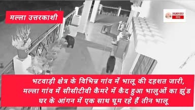 भटवाड़ी क्षेत्र के विभिन्न गांव में भालू की दहशत जारी,
गत गुरुवार रात्रि को मल्ला गांव में धर्मेन्द्र राणा के सीसीटीवी क...