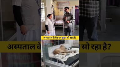 सरकारी अस्पताल के बेड पर कुत्ता सो रहा है? #Bihar #viralvideo #today #trend #videos