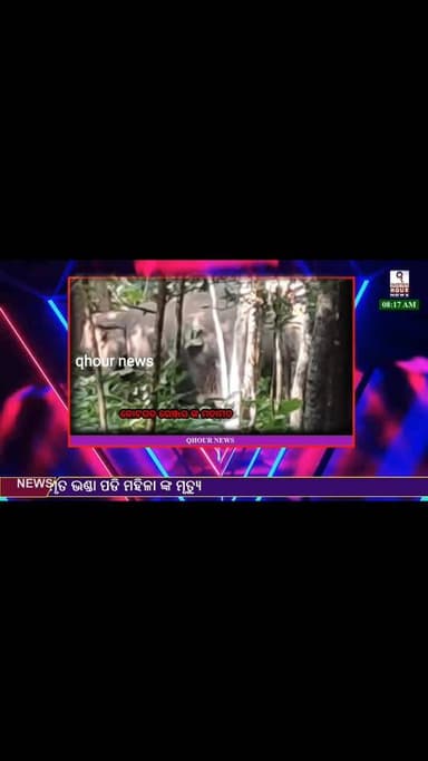 କେଶାରାଗୁଡା କୁ ଆସିଲା ହାତି,