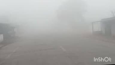 कोतमा: बिजुरी में सुबह से कोहरे और धुंध के कारण यातायात प्रभावित