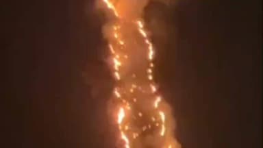 निचार: किन्नौर के सोल्डिंग के करीब जंगल और घासनी में लगी आग, हुआ भारी नुकसान