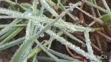 ଜି ଉଦୟଗିରି: ଜି ଉଦୟଗିରି ରେ ଆଜି ତାପମାତ୍ରା 4.6 ଡିଗ୍ରୀ ଥିବା ପାଣିପାଗ ବିଭାଗ ପକ୍ଷରୁ ସୂଚନା ଦିଆଯାଇଛି