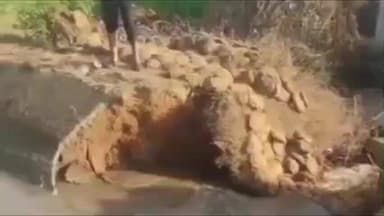 अटेली: अटेली में नहर टूटने से 15 किसानों के खेत जलमग्न, सरसों और गेहूं की फसल बर्बाद