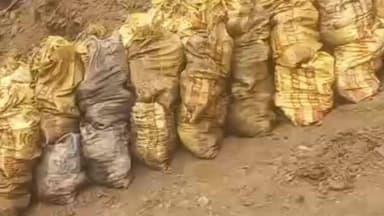 झरिया/जोरापोखर/सिंदरी: कपूरगड़ा में बड़े पैमाने पर कोयले का अवैध उत्खनन, वीडियो हुआ वायरल