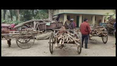 लकड़ी तस्करी रोकने गई वन विभाग की टीम पर पथराव,चार वनकर्मी घायल,विभागीय वाहन क्षतिग्रस्त@aajtak