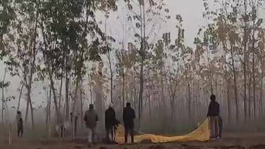 रुड़की में खेत के पेड़ पर उल्टा लटका मिला गुलदार, घंटों बाद हुआ रेस्क्यू
#Roorkee #Landaura #LeopardRescue #Uttarakhand...