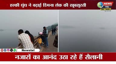 धुंध ने बढ़ाई डिमना लेक की खूबसूरती , आने लगे हैं सैलानी #JharkhandNews #jamahedpur #BiharJharkhandnews #dimnalake #dalm...