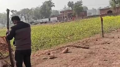 जतारा: तहसीलदार ने प्राथमिक शाला चतुरकारी की बाउंड्रीवाल से अवैध अतिक्रमण हटवाया