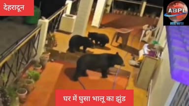 भोजन की तलाश में बच्चों के साथ घर में घुसा भालू, सीसीटीवी कैमरे में हुए कैद, ग्रामीणों में दहशत
#abpluttrakhand #AbplNe...