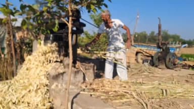 हिण्डोली: बूंदी जिले के मांगली के गुड़ की महक देश ही नहीं, विदेशों तक फैली, बड़ी मात्रा में किया जा रहा तैयार