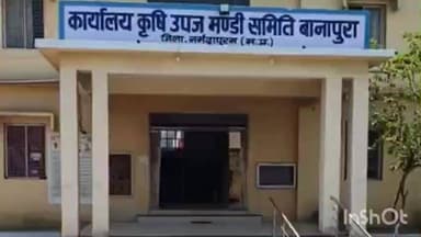 सिवनी मालवा: बानापुरा मंडी में मक्का की रिकॉर्ड आवक, अव्यवस्था के चलते किसानों से उपज न लाने की अपील