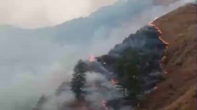निचार: किन्नौर के सोल्डिंग के जंगलों व घासनी में आग की लपटें तेजी से फैली, बना हुआ खतरा