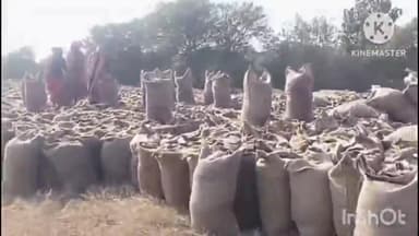 नागौद: धान खरीदी केंद्र पतवारा में किसानों से अधिक धान की तौलाई, भाकियु टिकैत के जिलाध्यक्ष ने कार्रवाई की मांग की