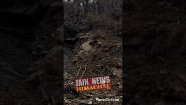 मणिकर्णघाटी के तोष में खाईमें गिरी कारबाल बाल बचा ड्राइवर#viral #follow #viralvideo #kullu #accident