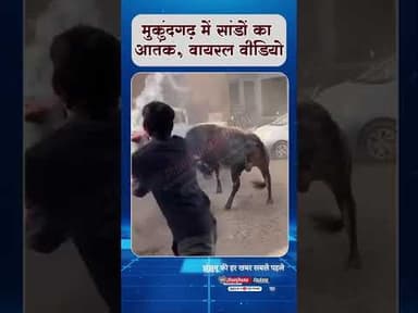 #झुंझुनूं: ये 'झगड़ा' कब मिटेगा, 'आतंक' की एक और तस्वीर #viralvideo