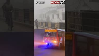 SULTANPUR: कोहरे और ठंड के कहर से जनजीवन अस्त व्यस्त #now44news #breakingnews #up #latest #ytshorts