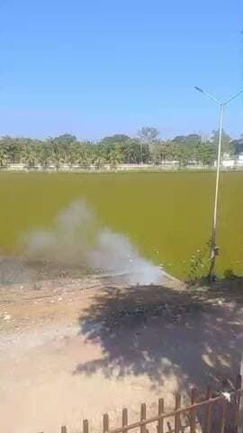 वार्ड में बेख़ौब जलाया गया हानिकारक कबाड़।।@kondagaon @ward no 12#local news#kondagaon