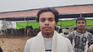 अजीतमल: ग्राम सिखरना की गौशाला में बदहाली, 100 से अधिक गोवंशों के अवशेष मिलने का आरोप, गौ रक्षक दल के सदस्य ने बताई अनियमितता