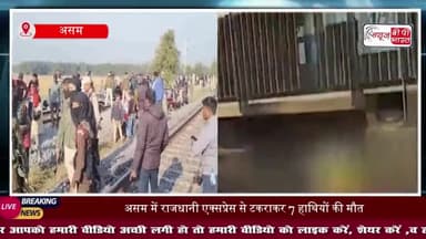असम में बड़ा ट्रेन हादसा: राजधानी एक्सप्रेस की टक्कर से सात हाथियों की मौत, एक घायल, पांच डिब्बे पटरी से उतरे