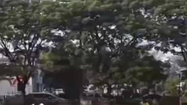 सेमरिया: सत्ता के संरक्षण में बांध कर्मचारी की मनमानी, 25 एकड़ सरकारी जमीन पर कब्जे का आरोप