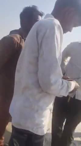 बन विभाग की भूमि पर बन विभाग कर्मियो की साठ गाठ से रिश्वत लेकर कर रहे भू माफिया अवैध कब्जा