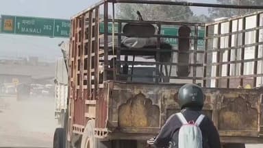 नालागढ़: हिमाचल फार्मा हब पर बड़ा दाग, देश में सबसे ज्यादा 49 दवाइयां फेल हुईं हिमाचल की