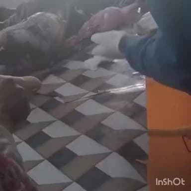 ठाकुरगंगटी: बुधवा चक में अलाव ता लपने के क्रम में 14 वर्षीय किशोर बुरी तरह झुलसा, बेहतर इलाज हेतु गुड्डा रेफर