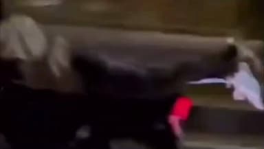 હાઇવે પર બાઇકમાં સ્ટંટ કરનાર શખ્સ વિરુદ્ધ પોરબંદર એલસીબીની કાર્યવાહી, ઉદ્યોગનગર પોલીસ સ્ટેશનમાં ગુન્હો દાખલ