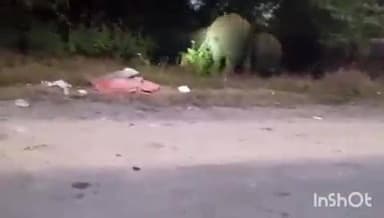 मांडू: रामगढ़ जिले में हाथियों का उत्पात जारी, काकेबार आदि क्षेत्रों में दिखा हाथियों का झुंड