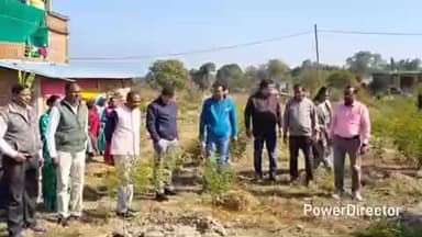 नैनपुर: जिला पंचायत सीईओ ने नैनपुर क्षेत्र के ग्रामों का दौरा कर पौधारोपण का निरीक्षण किया