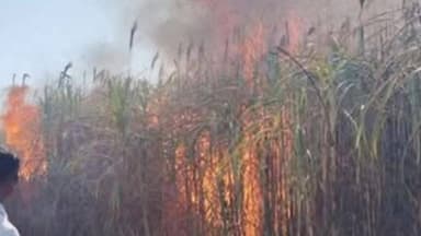 जिंतूर: पांढरगळा शेत शिवारात चार एकर ऊस जळून खाक ; शेतकऱ्याचे ८ लाखांचे नुकसान