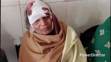 सोनारायठाढ़ी: सेतीनगढ़ और पृथ्वीडीह में सियार ने 2 वृद्ध महिलाओं को काटकर किया गंभीर रूप से जख्मी