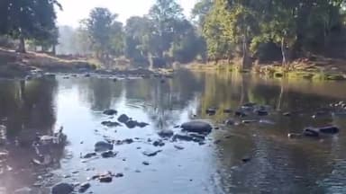 पिपरिया: अमृत सेवा समिति ने नांदिया गांव के ग्रामीणों को घने जंगल में 500 गर्म कपड़े बांटे