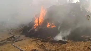 अकलतरा: किरारी गांव में भीषण आग लगने से 40 ट्रैक्टर पैरा जलकर खाक, गांव में दूसरी बार हुई पैरा जलने की घटना, कारण अज्ञात