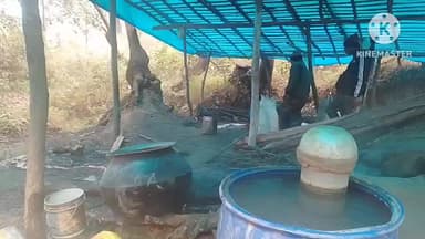 बरकट्ठा: बरकट्ठा के गयपहाड़ी में अवैध महुआ शराब के खिलाफ छापेमारी अभियान