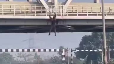 #Hapur
#रील के #चक्कर मे #जान #जोखिम में डालकर रील #बनाता शख्स।ये #वीडियो #दिल्ली-#लखनऊ #हाईवे का बताया जा रहा है ऊपर से...