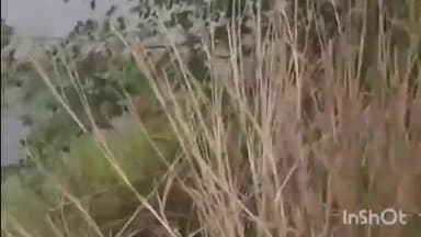 हिलसा: पुना गांव के पास अनियंत्रित ऑटो पानी से भरे गड्ढे में पलटा, सवार बाल-बाल बचे