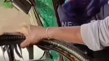 हनुमना: हनुमना बॉर्डर पर अवैध वसूली का वीडियो वायरल, ट्रक में लटकता रहा वसूलीबाज, ड्राइवर कई किलोमीटर तक भागता रहा