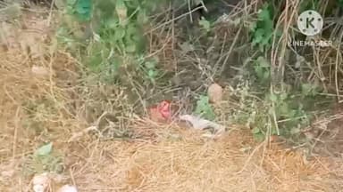 चोरों के हौसले बुलंद, खमतरा में फिर ताला तोड़कर मोटर चोरी।
#मोटरचोरी #खमतरा #शाहनगर #चोरी #पुलिसप्रशासन #अपराध