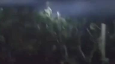 सिमरिया: जंगल से भटका हाथी कदले-चौथा गांव पहुंचा, दहशत में लोग, ग्रामीणों ने ढोल बजाकर भगाया