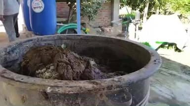 ગરબાડા: દાહોદ જિલ્લાના ગરબાડા તાલુકાના ટૂંકી અનોપ ગામના ખેડૂત નવલસિંહ પસાયા ને પ્રાકૃતિક ખેતીમાં મળી સફળતા..