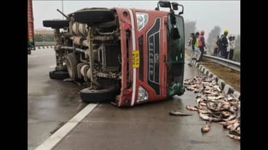 बड़ौत: बागपत में ईस्टर्न पेरीफेरल एक्सप्रेस-वे पर टायर फटने से मछली से भरा कैंटर पलटा, लाखों का हुआ नुकसान