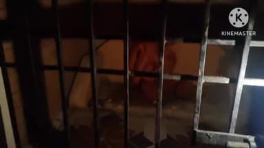 नागौद: बांधी मौहार मोड़ में शरारती तत्वों ने हनुमान जी की प्रतिमा को किया खंडित